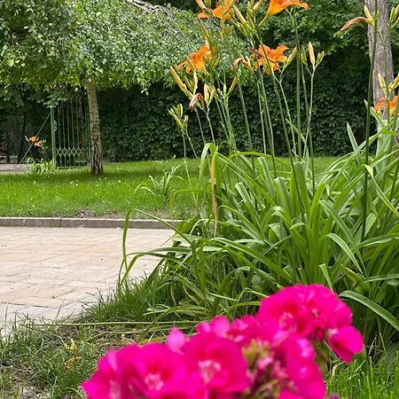 Balatonair Vendeghaz Pensionat 3*