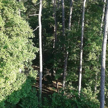 Balatonair Vendeghaz 3* バラトンフレド