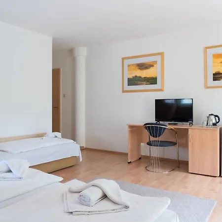 ゲストハウス Balatonair Vendeghaz バラトンフレド