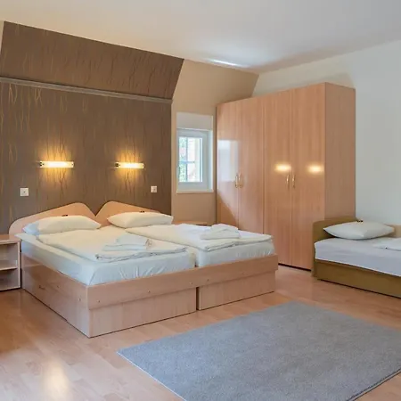 Pensionat Balatonair Vendeghaz