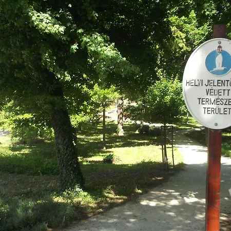 Balatonair Vendeghaz 3* バラトンフレド