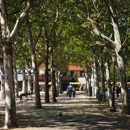 Pensionat Balatonair Vendeghaz