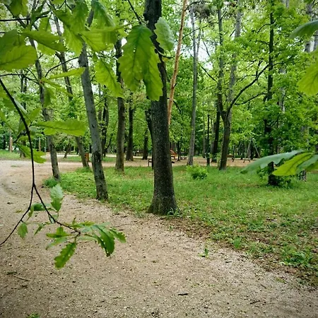 ゲストハウス Balatonair Vendeghaz