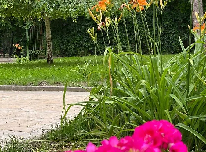 Balatonair Vendeghaz Penzion 3*