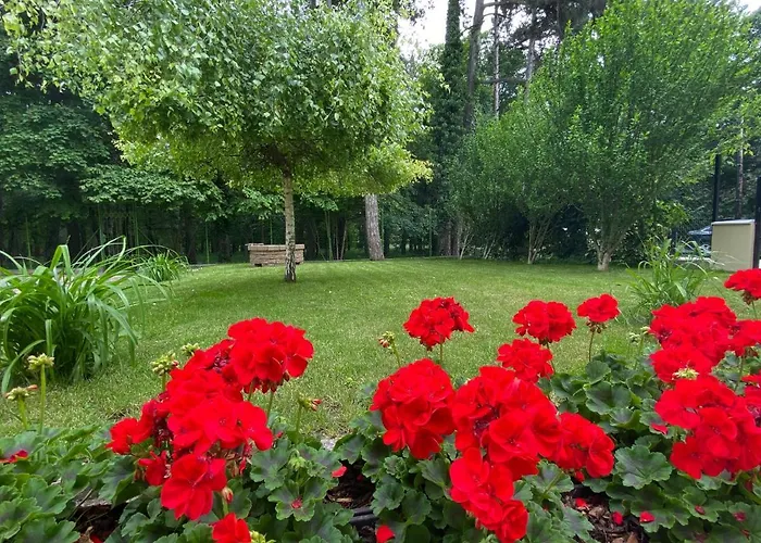 Balatonair Vendeghaz 3* バラトンフレド