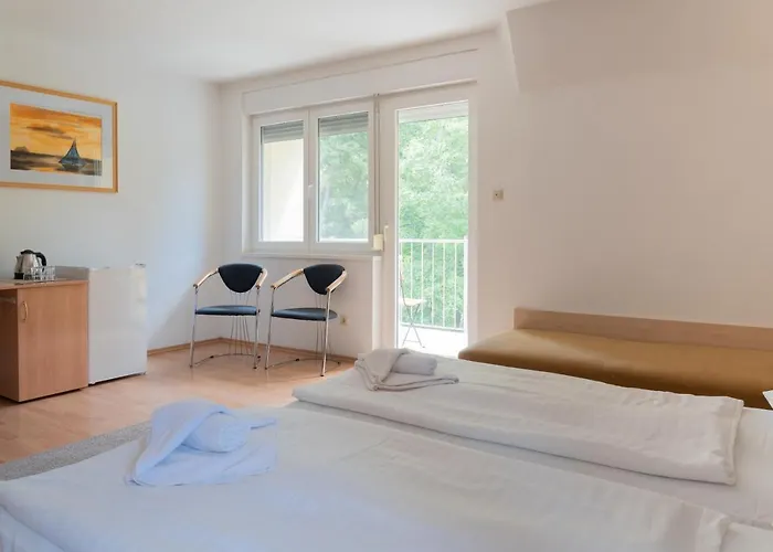 Balatonair Vendeghaz バラトンフレド