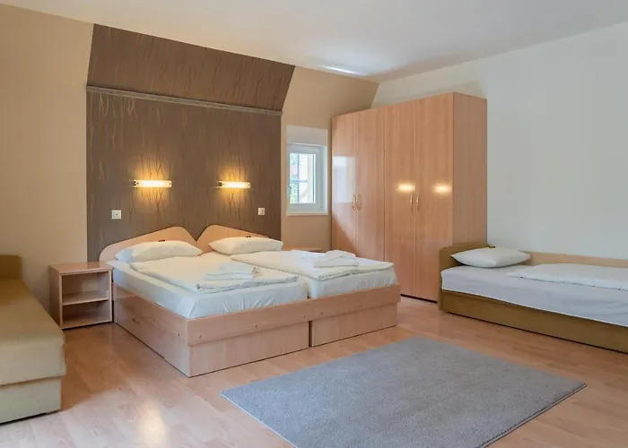 ゲストハウス Balatonair Vendeghaz