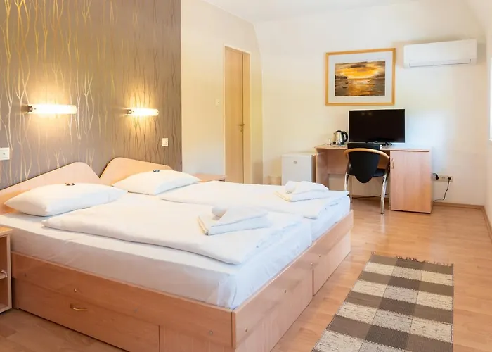 Penzion Balatonair Vendeghaz