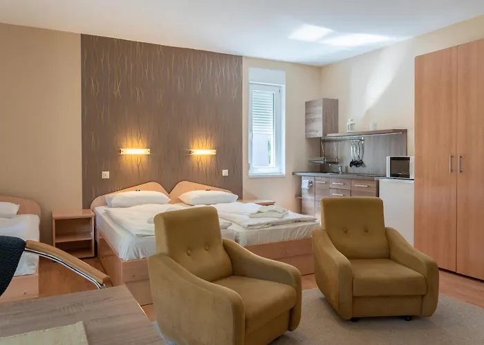 Balatonair Vendeghaz 3* バラトンフレド