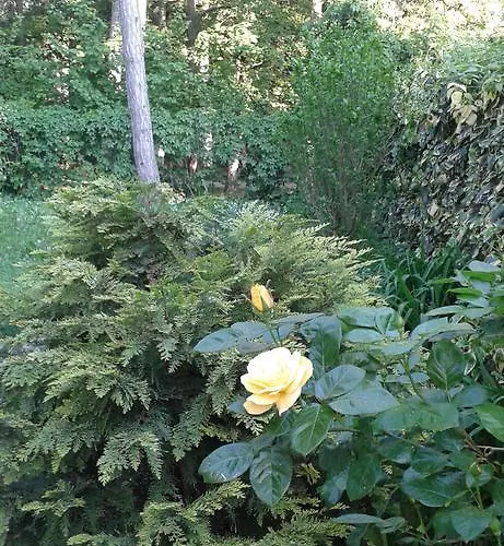 Balatonair Vendeghaz Penzion 3*