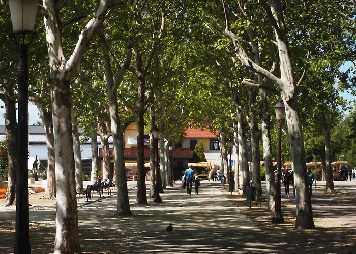 Penzion Balatonair Vendeghaz