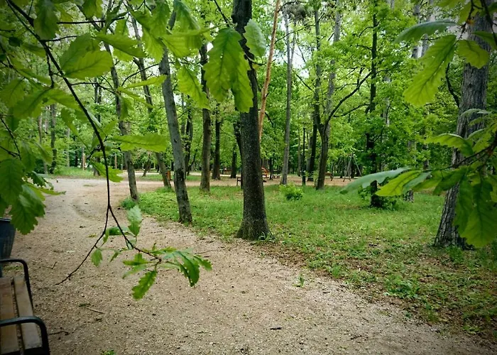 ゲストハウス Balatonair Vendeghaz